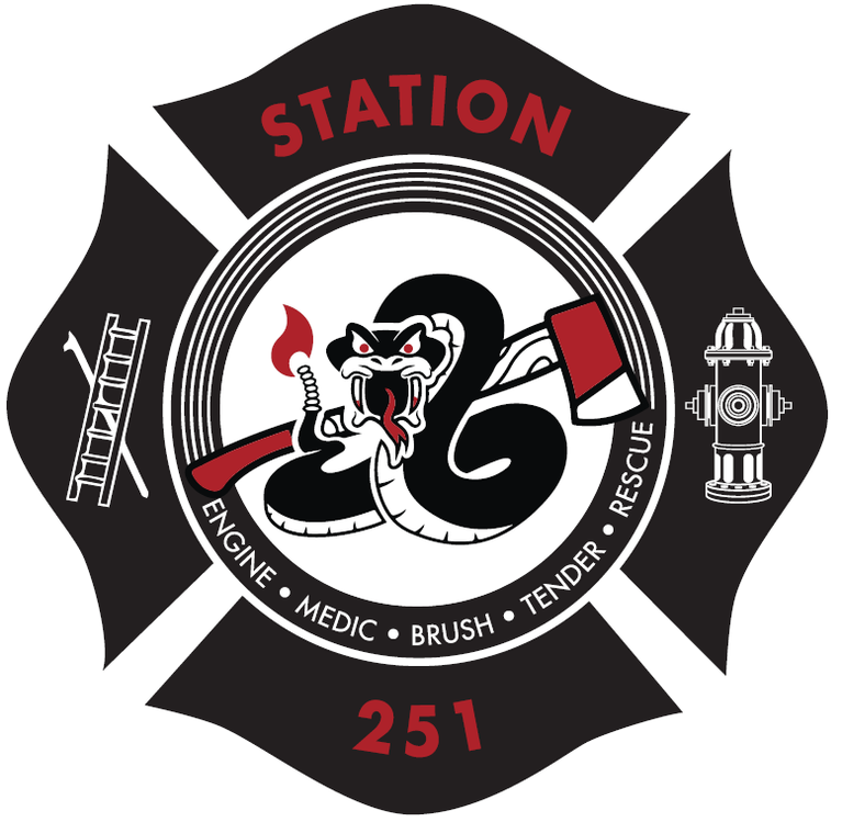 Station 251 Logo